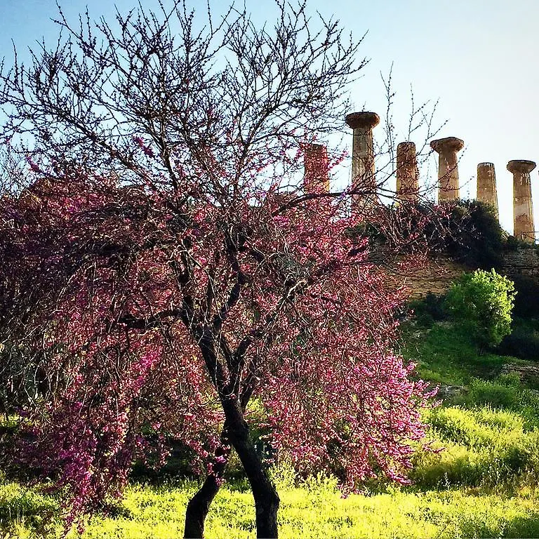 Villa Cetta B&B San Leone Italia