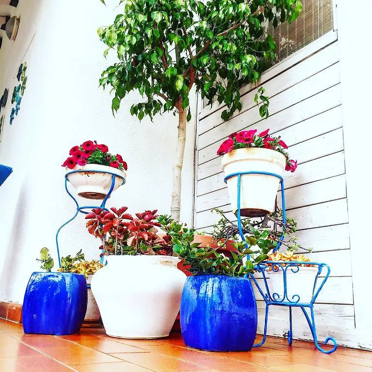 Villa Cetta B&B San Leone 3*,  Italia