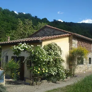 https://affittacamera-il-cielo-bio.it-tuscanyhotel.com
