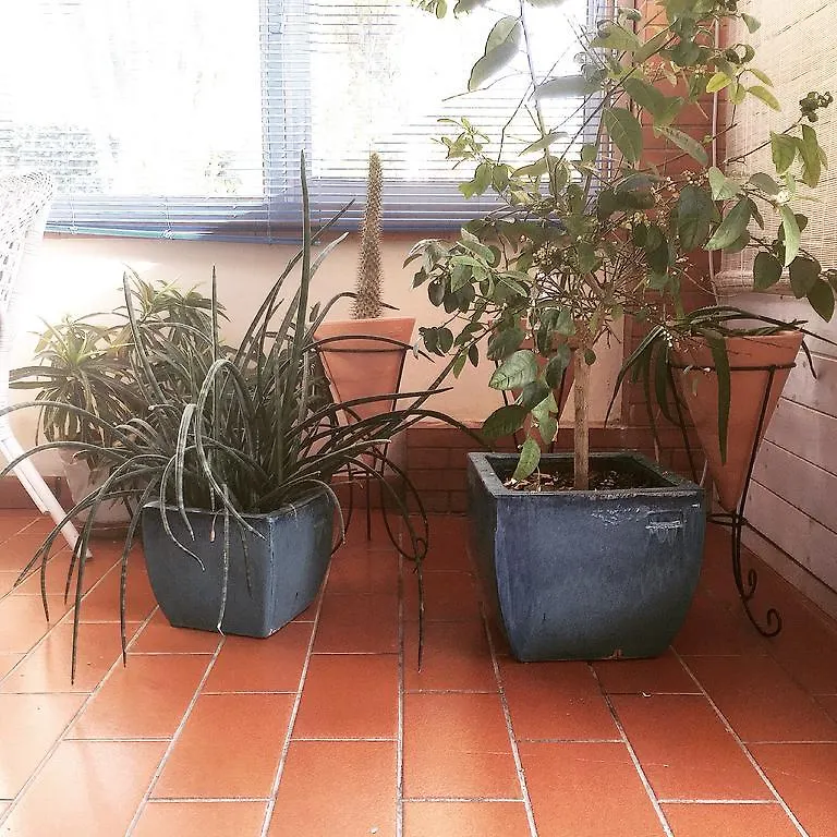 Frühstückspension Villa Cetta B&B San Leone